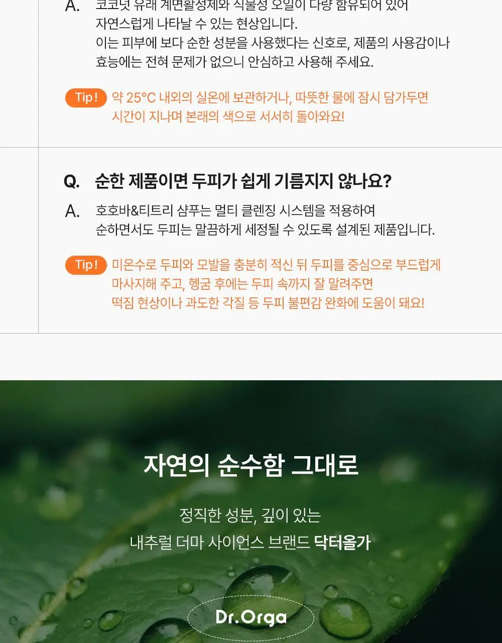 [지성/정수리샴푸]닥터올가 호호바티트리 샴푸 500ml 상세페이지 22